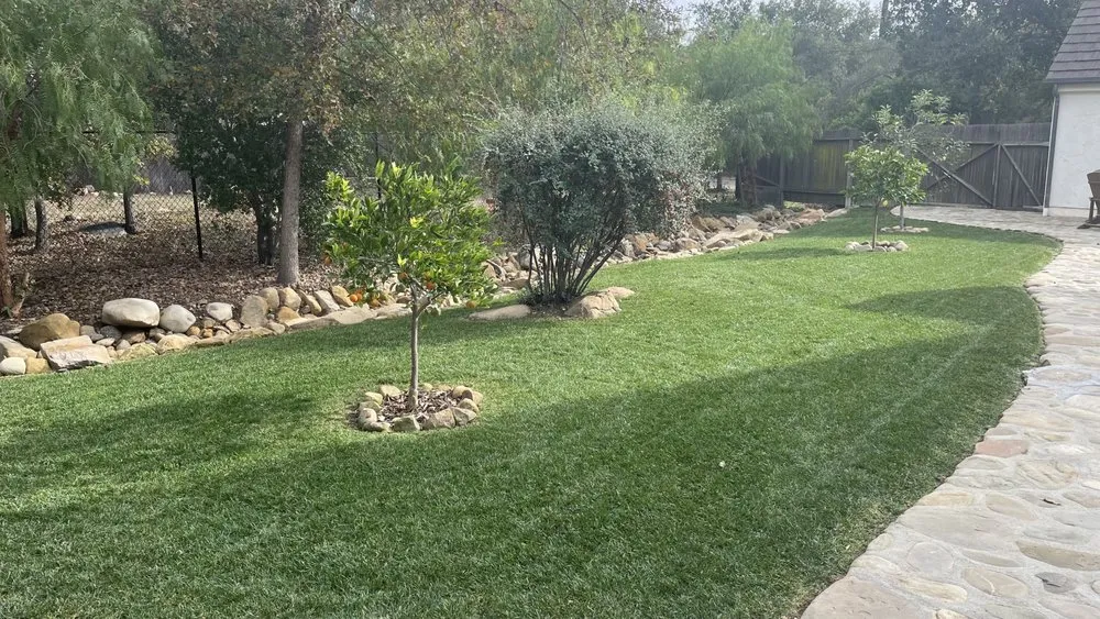 Professional lawn care service in Oxnard, CA by Israel gardening