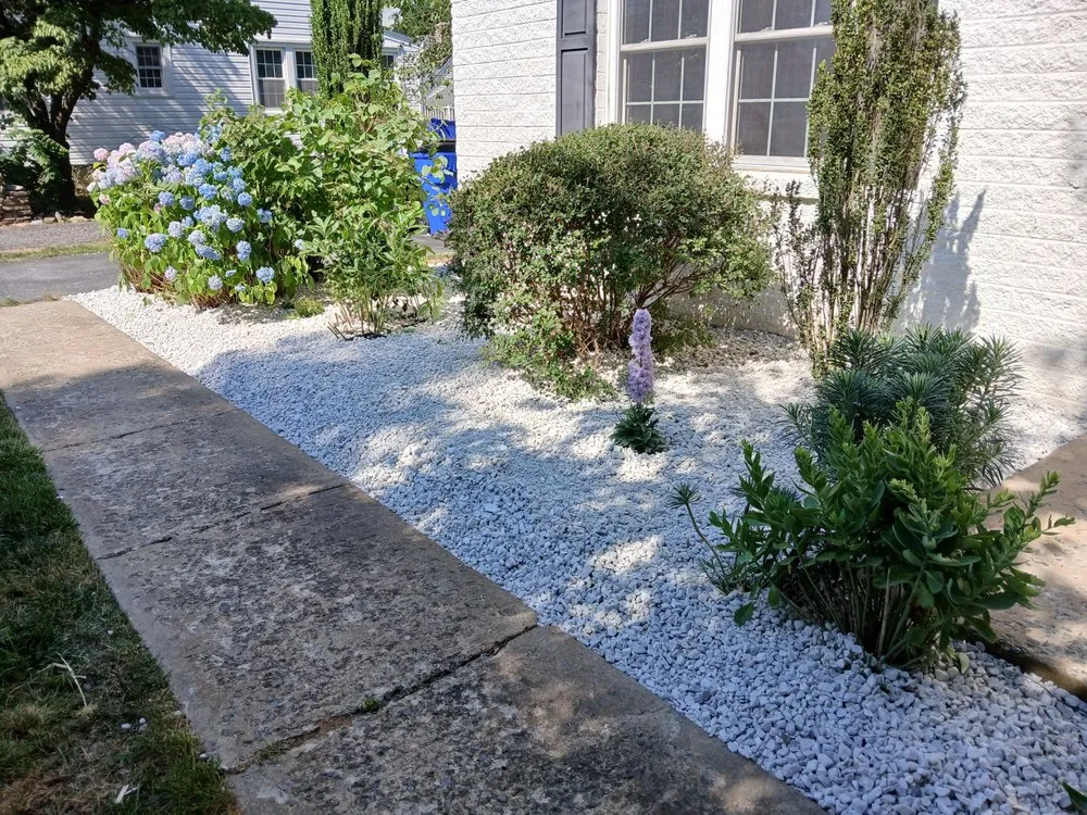 Custom lawn care service experts serving Hyattsville, MD - Israel Hernandez