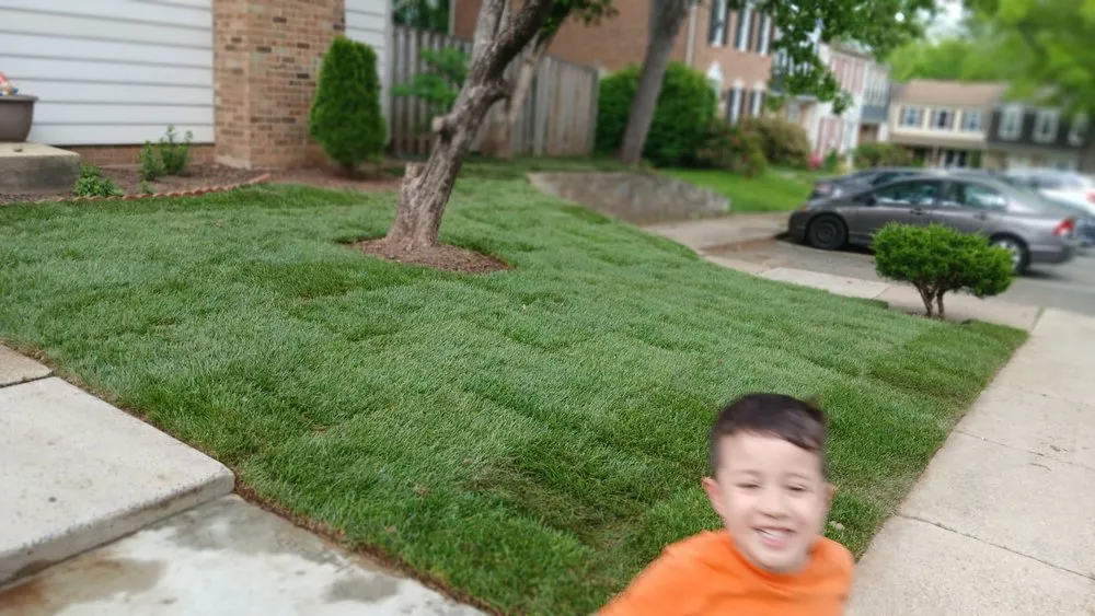 Local landscaping services in Hyattsville, MD - Israel Hernandez