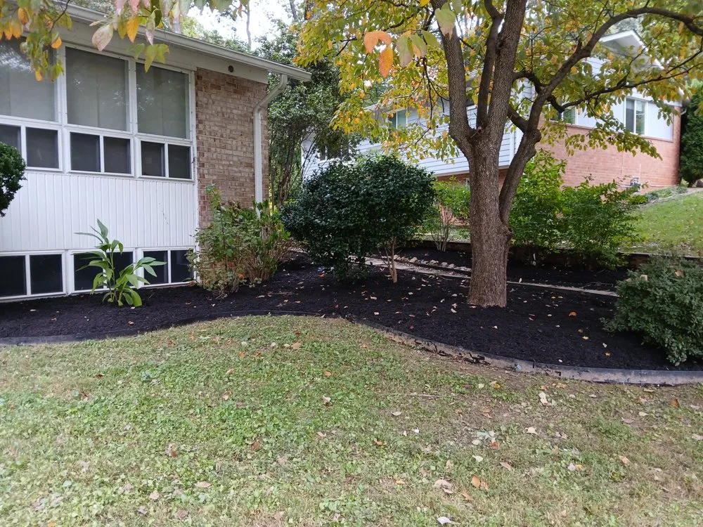 Custom outdoor landscaping for year-round maintenance in Hyattsville, MD by Israel Hernandez