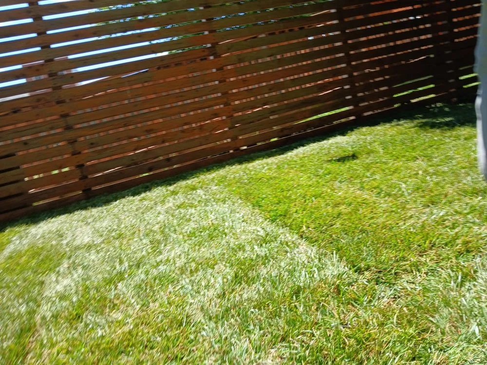 Custom residential landscaping for beautiful yards in Hyattsville, MD by Israel Hernandez