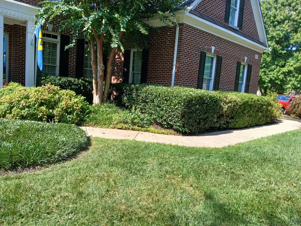 Trusted landscape design in Hyattsville, MD - Israel Hernandez
