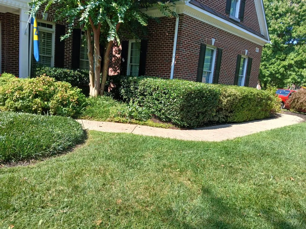 Custom garden landscaping experts serving Hyattsville, MD - Israel Hernandez