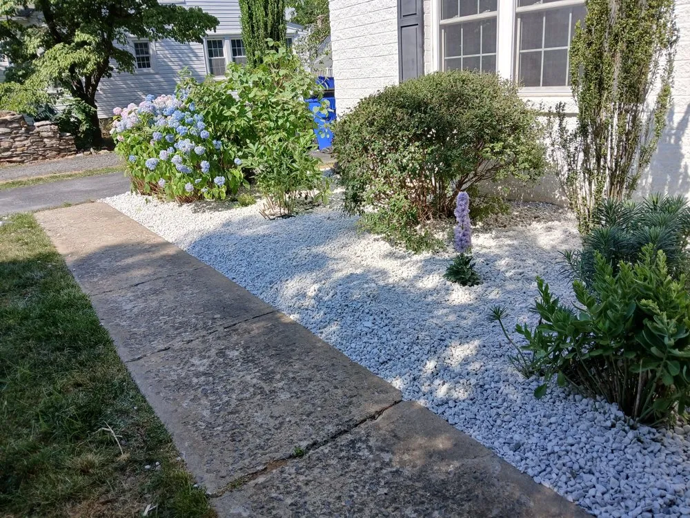 Affordable landscaping services for beautiful yards across Hyattsville, MD - Israel Hernandez