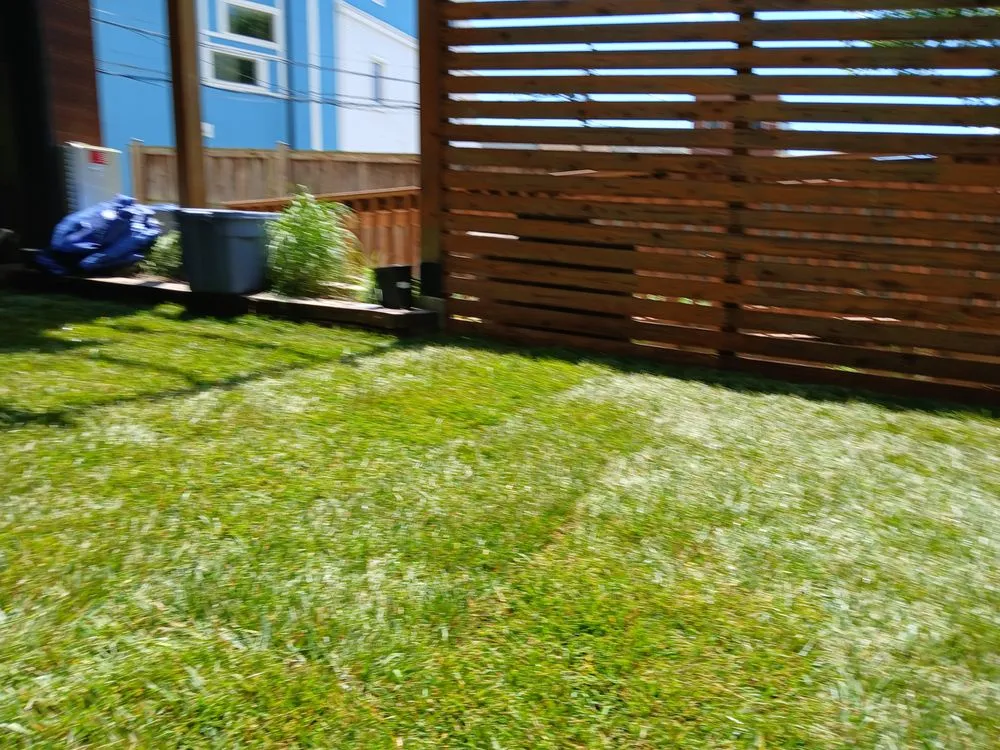 Professional outdoor landscaping in Hyattsville, MD - Israel Hernandez