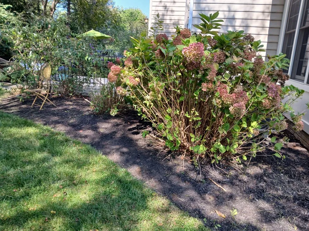 Professional landscaping services experts serving Hyattsville, MD - Israel Hernandez