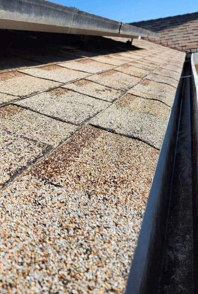 Reliable landscape design for beautiful yards across Sacramento, CA - Israel Jiménez