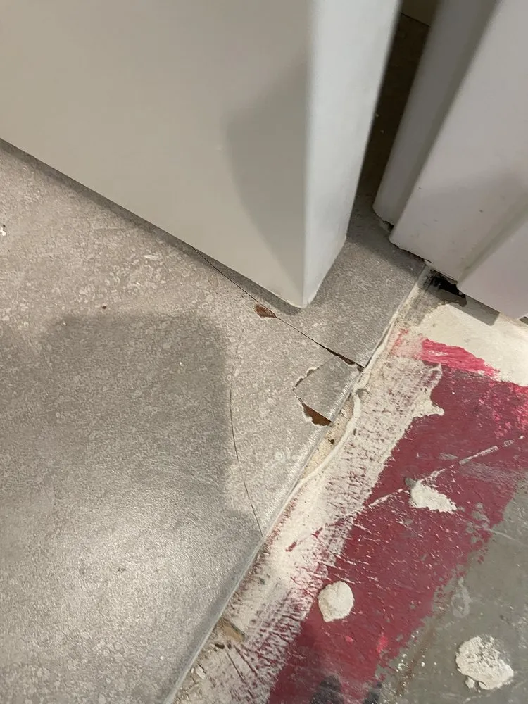 Professional lawn mowing service in Sacramento, CA by Israel Jiménez