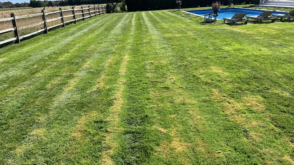 Professional lawn care service with custom design in Water Mill, NY by Israel Landscaping and Tree Services