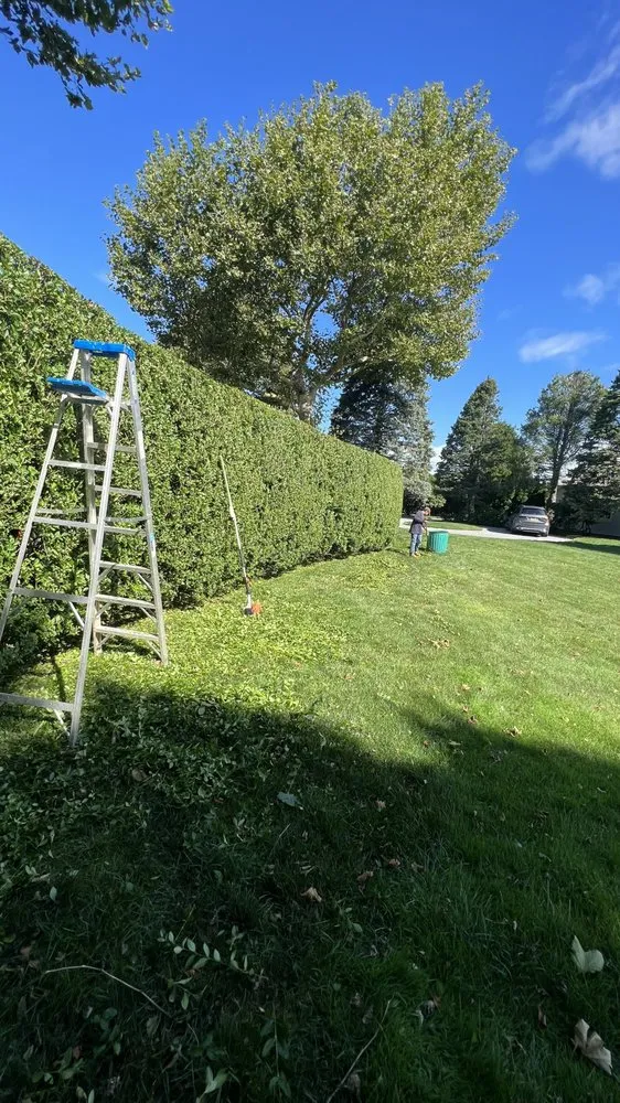 Trusted yard maintenance in Water Mill, NY by Israel Landscaping and Tree Services