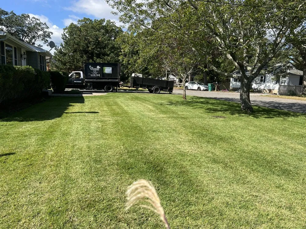 Trusted landscaping services in Water Mill, NY - Israel Landscaping and Tree Services