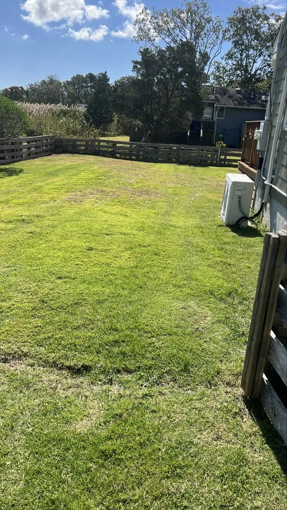 Reliable lawn care service in Water Mill, NY by Israel Landscaping and Tree Services