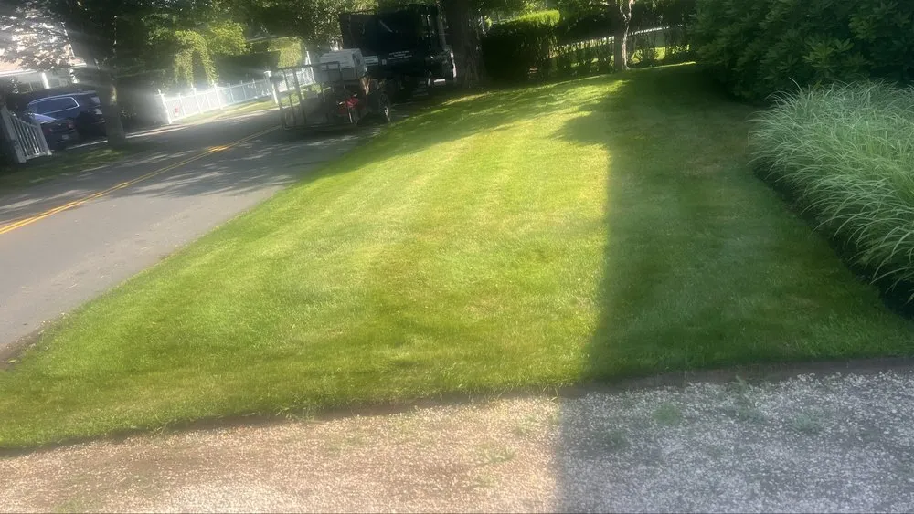 Expert residential landscaping near you across Water Mill, NY - Israel Landscaping and Tree Services