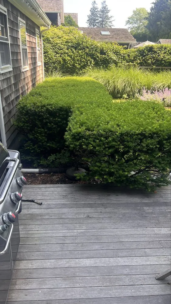 Custom landscape installation near you across Water Mill, NY - Israel Landscaping and Tree Services