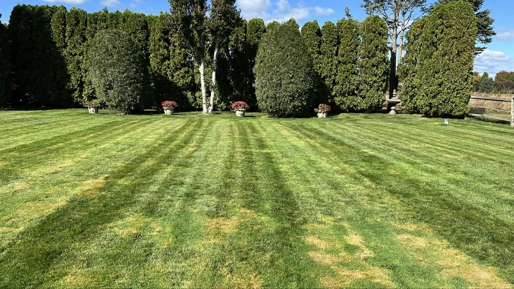 Affordable lawn care service for year-round maintenance across Water Mill, NY - Israel Landscaping and Tree Services