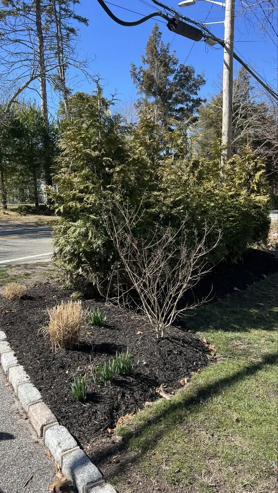 Local yard maintenance in Water Mill, NY - Israel Landscaping and Tree Services