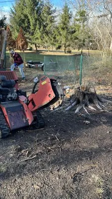 Israel Landscaping and Tree Services