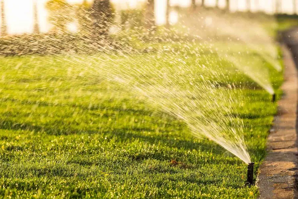 Reliable lawn care service experts serving Sarasota, FL - Israel Landscaping Design & Irrigation