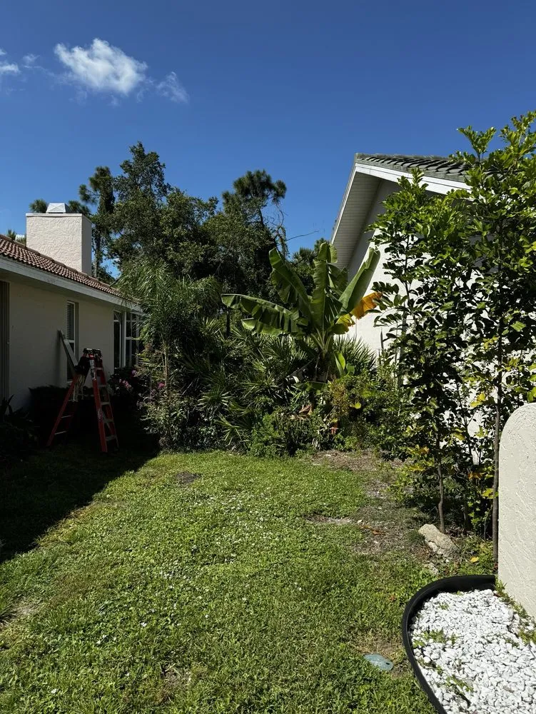 Professional landscape design in Sarasota, FL - Israel Landscaping Design & Irrigation