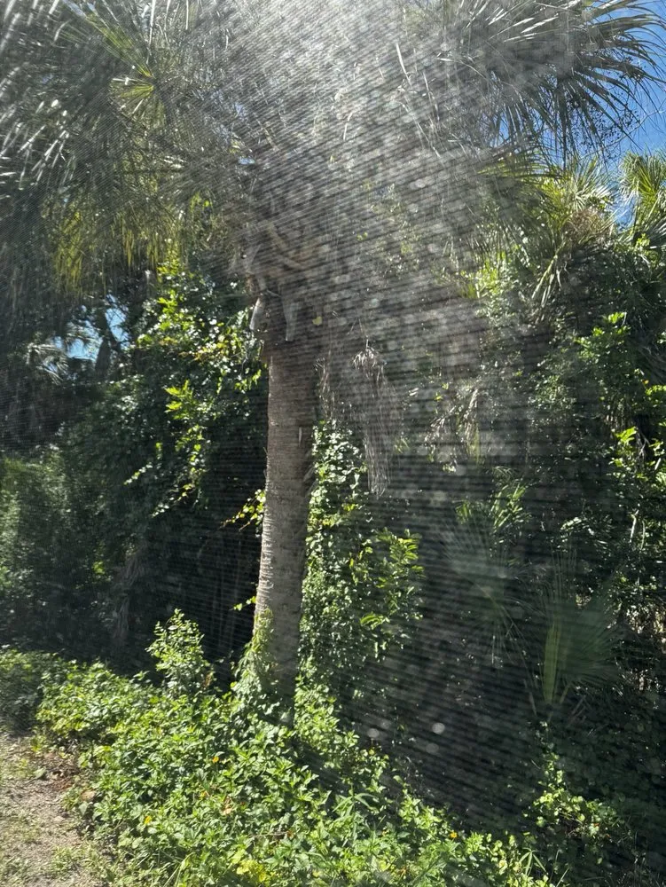 Reliable landscaping services experts serving Sarasota, FL - Israel Landscaping Design & Irrigation