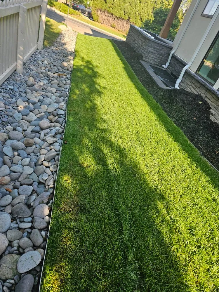 Top-rated landscaping services in Denver, CO by Israel Landscaping Unlimited