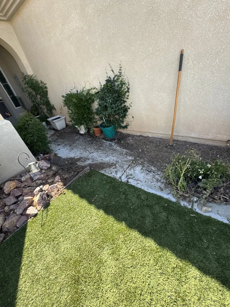 Reliable yard cleanup service in Jess Ranch, CA by Israel Pro Services
