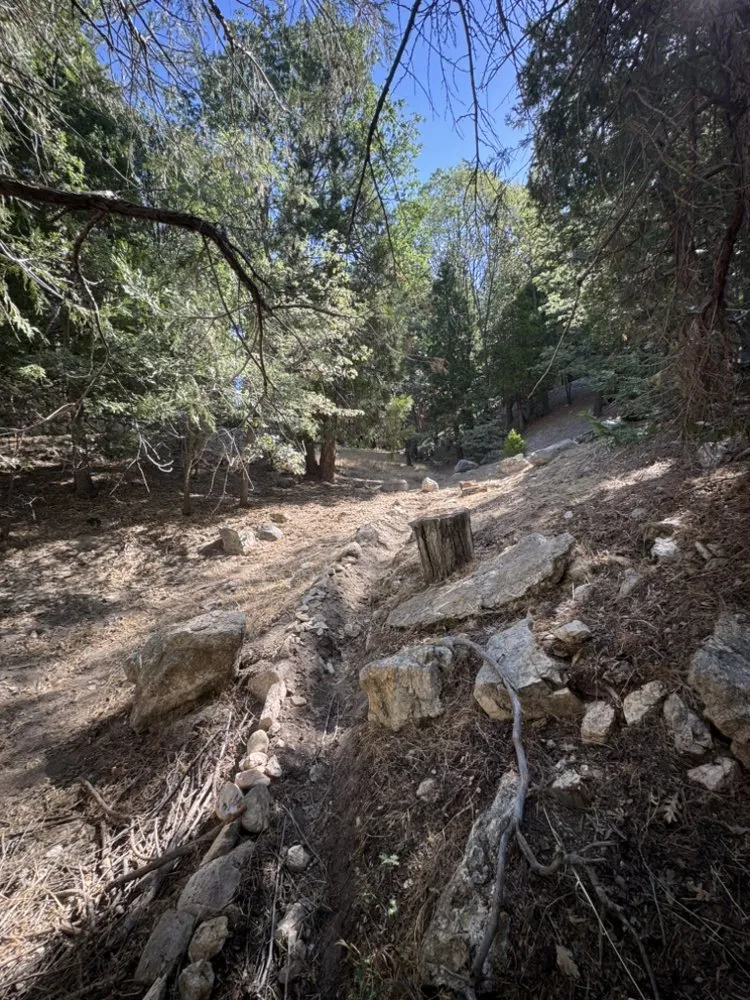 Top-rated yard maintenance in Jess Ranch, CA - Israel Pro Services