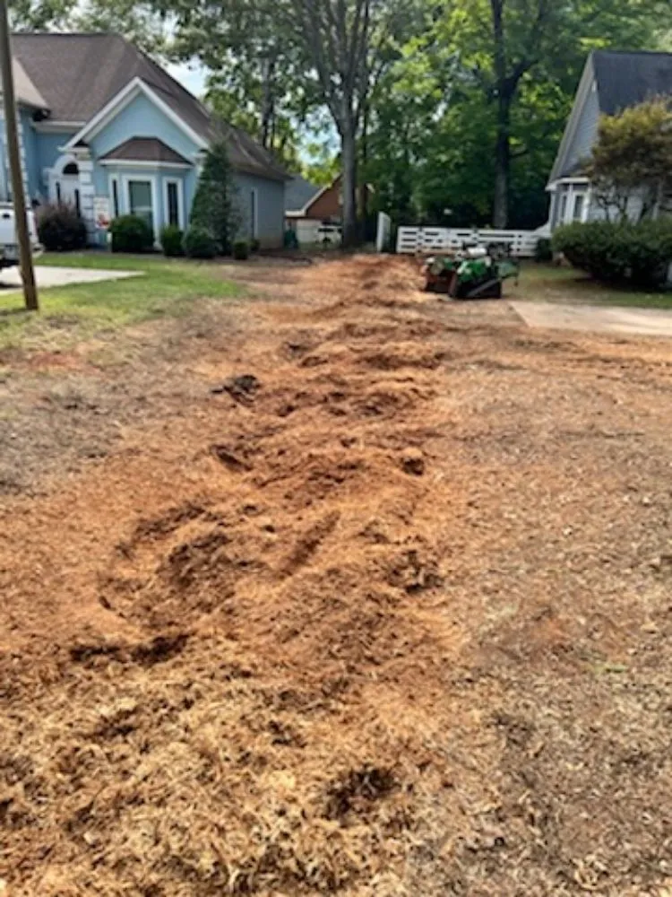 Trusted residential landscaping for residential properties in Gastonia, NC by Israel trees