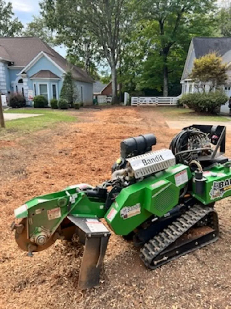 Local garden landscaping near you across Gastonia, NC - Israel trees