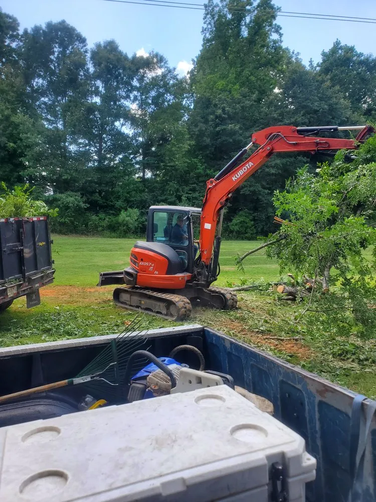 Local outdoor landscaping experts serving Gastonia, NC - Israel trees