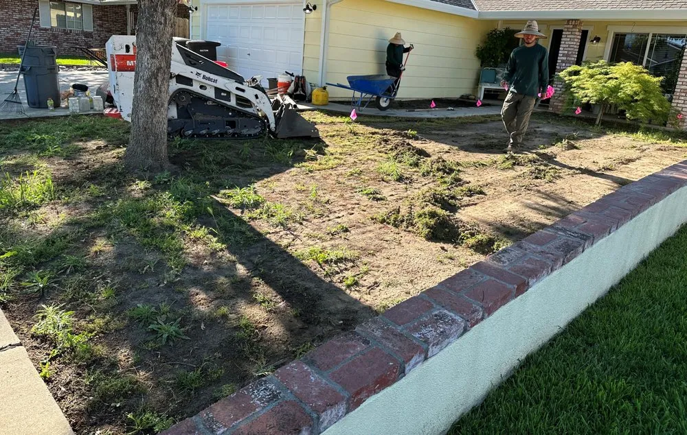 Reliable yard cleanup service in Modesto, CA by Israel's Gardening