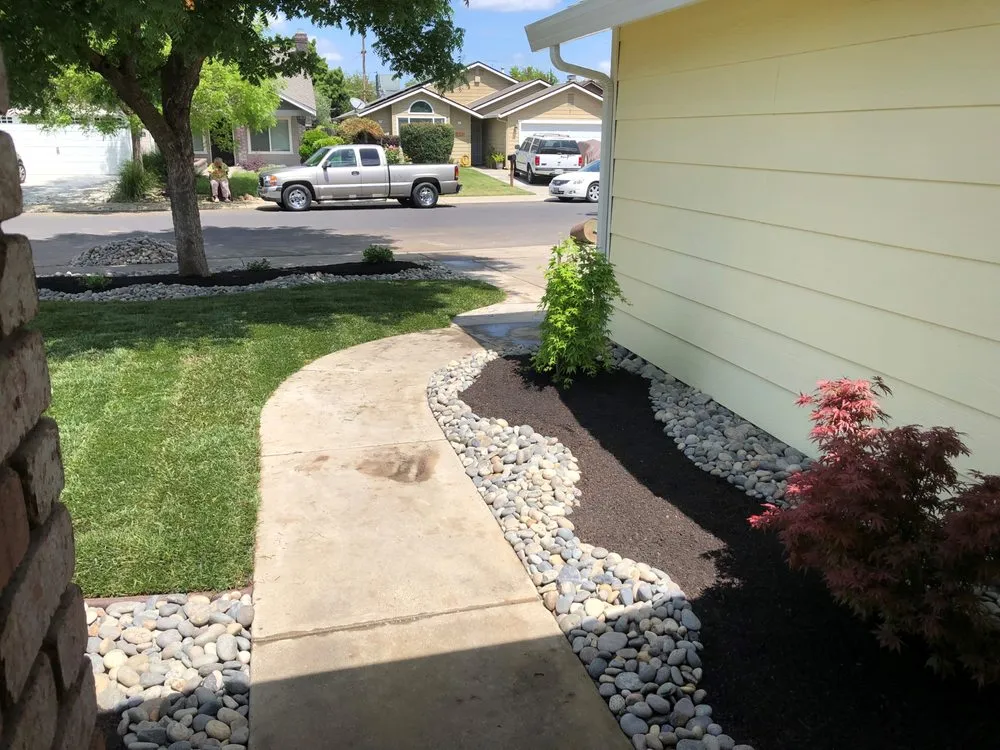 Top-rated yard cleanup service for year-round maintenance across Modesto, CA - Israel's Gardening