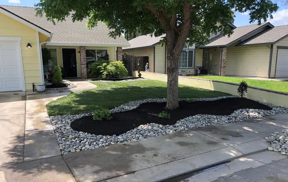 Top-rated residential landscaping in Modesto, CA - Israel's Gardening