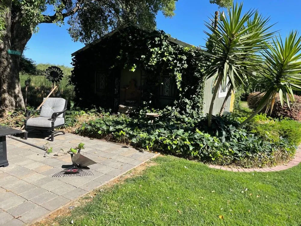 Professional landscaping services experts serving Modesto, CA - Israel's Gardening