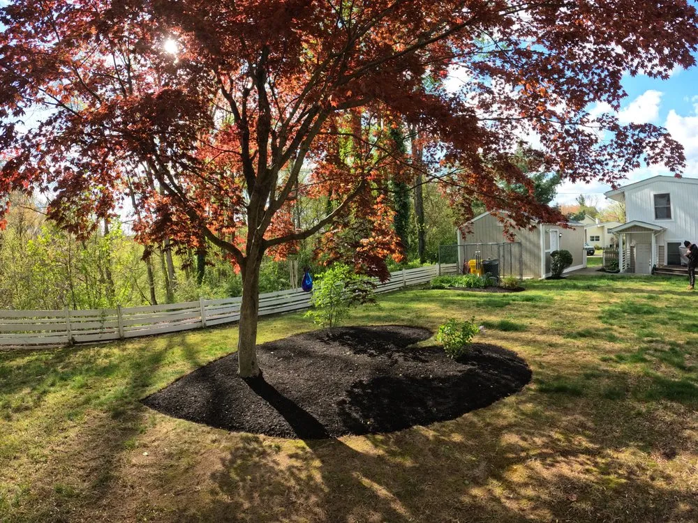 Local landscape design for beautiful yards across Hyattsville, MD - Israels landscaping