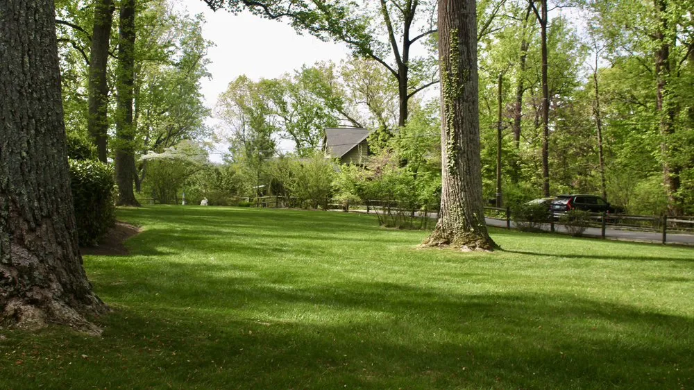 Reliable outdoor landscaping for beautiful yards across Hyattsville, MD - Israels landscaping