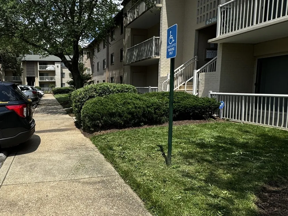 Trusted yard maintenance experts serving Hyattsville, MD - Israels landscaping