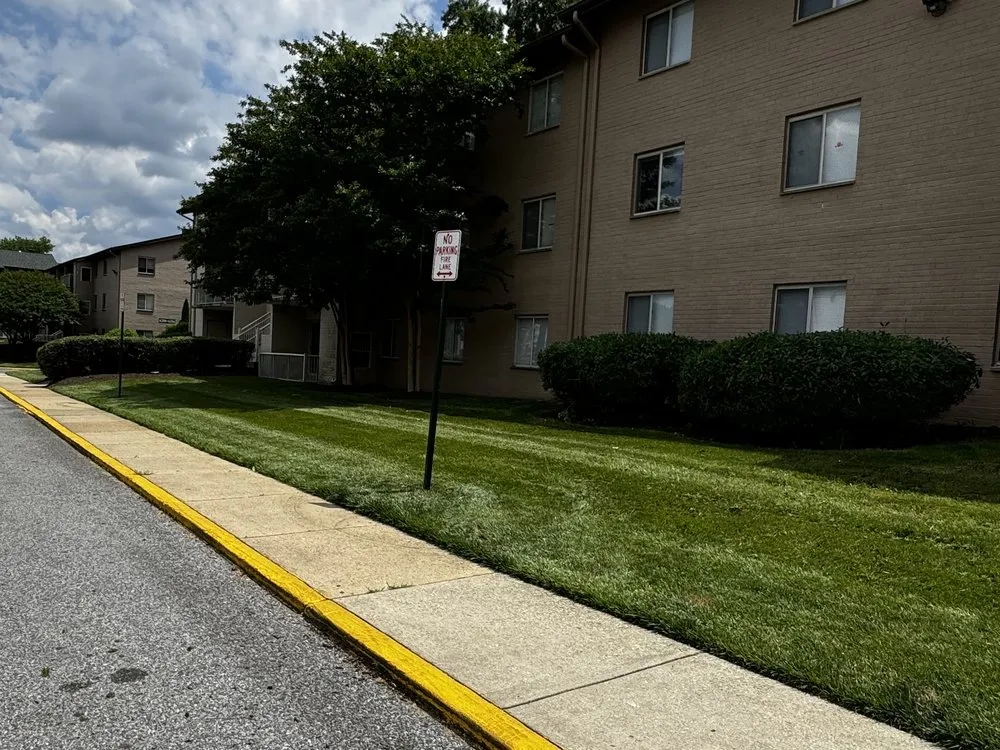 Affordable outdoor landscaping experts serving Hyattsville, MD - Israels landscaping