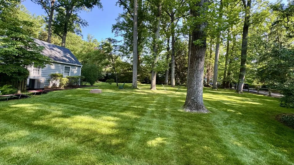 Local residential landscaping experts serving Hyattsville, MD - Israels landscaping