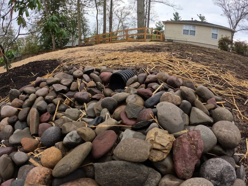 Affordable landscaping services in Hyattsville, MD by Israels landscaping