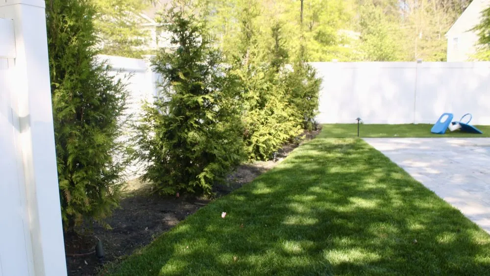 Reliable yard cleanup service near you across Hyattsville, MD - Israels landscaping