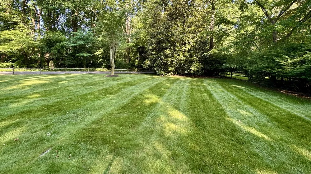 Trusted outdoor landscaping experts serving Hyattsville, MD - Israels landscaping