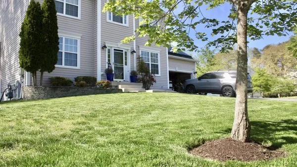 Israels landscaping Logo