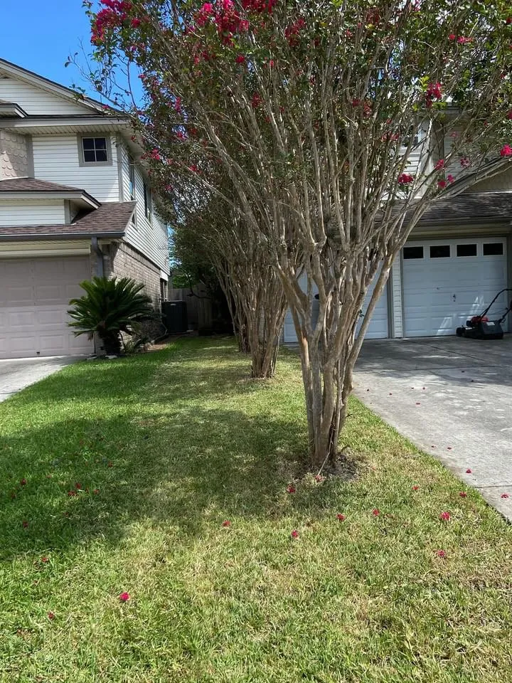 Reliable lawn mowing service in Houston, TX by Israel’s Maintenance Crew