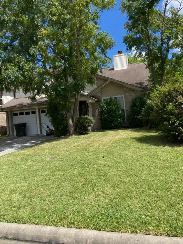 Local yard maintenance in Houston, TX by Israel’s Maintenance Crew