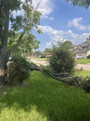 Israel’s Maintenance Crew Logo