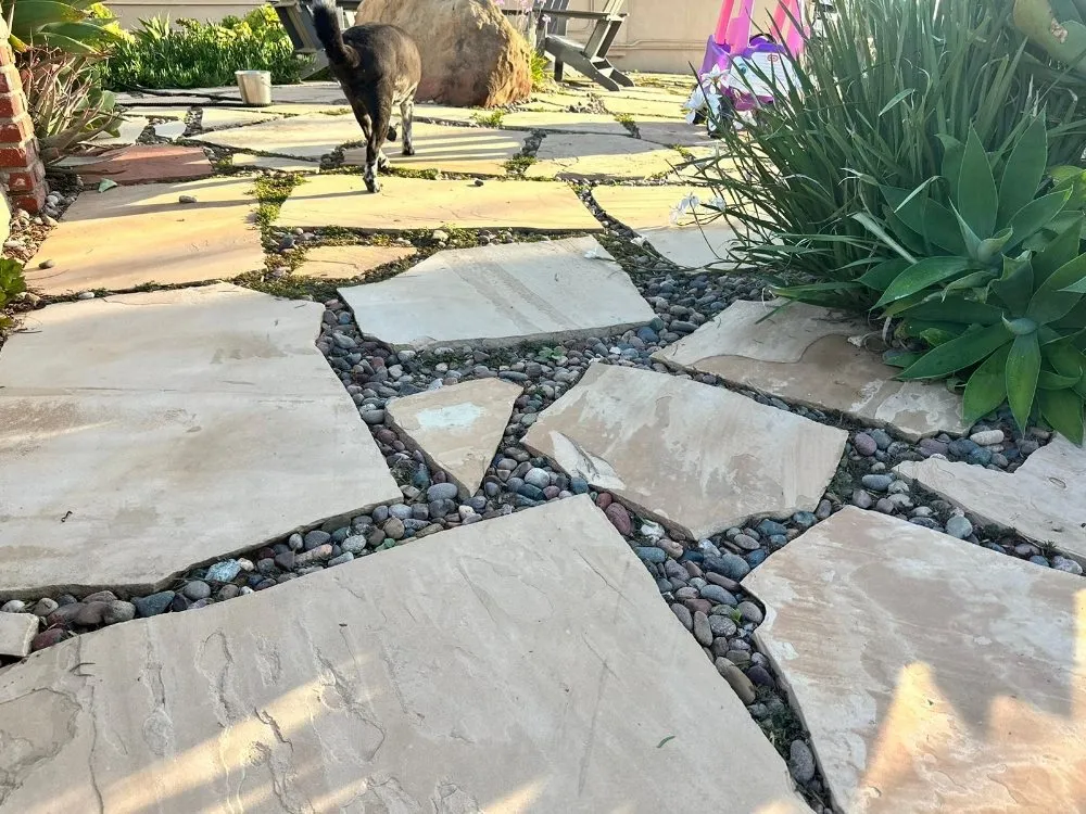 Trusted lawn mowing service for year-round maintenance in Bakersfield, CA by Israel's Service