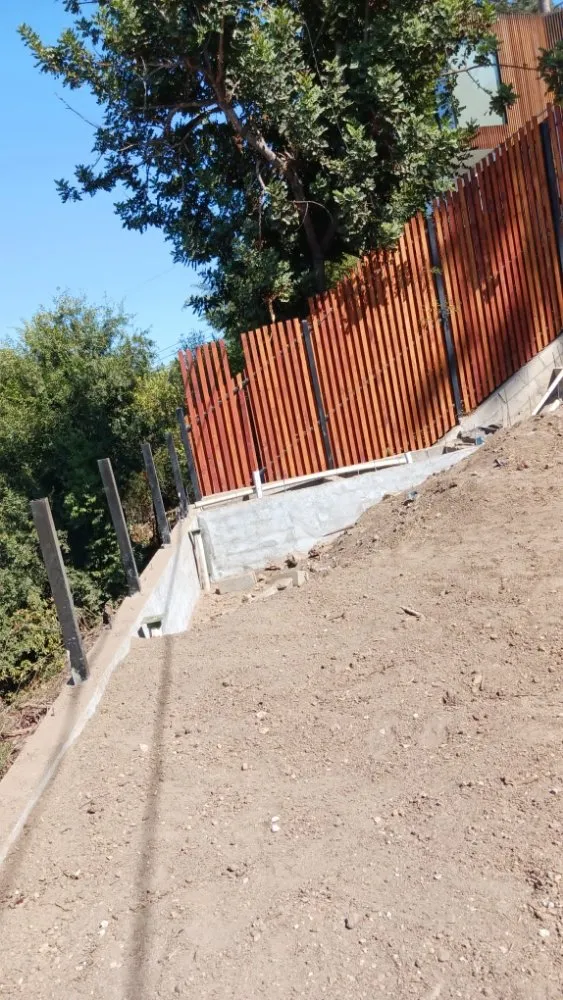 Expert yard maintenance experts serving Bakersfield, CA - Israel's Service