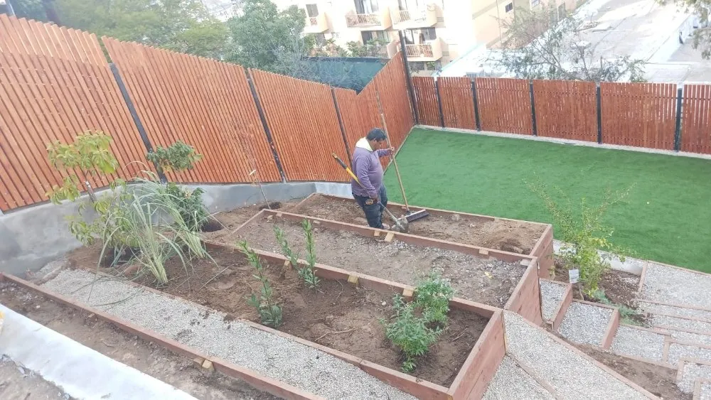 Local residential landscaping in Bakersfield, CA - Israel's Service