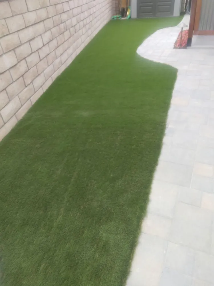 Reliable yard maintenance in Bakersfield, CA by Israel's Service